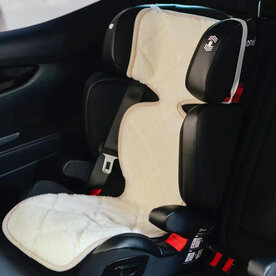 Hoes voor autostoel